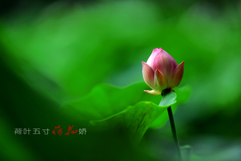 Ƭ 007.jpg