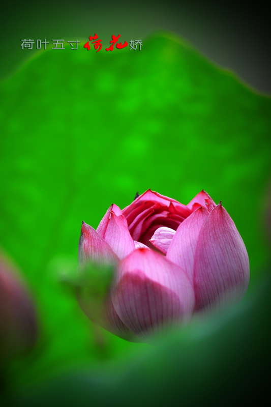 Ƭ 008.jpg