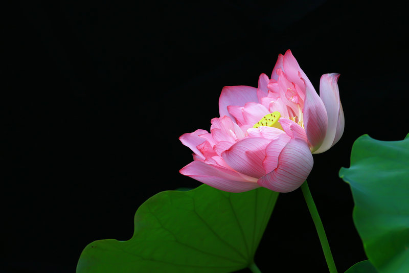 img_4635.jpg