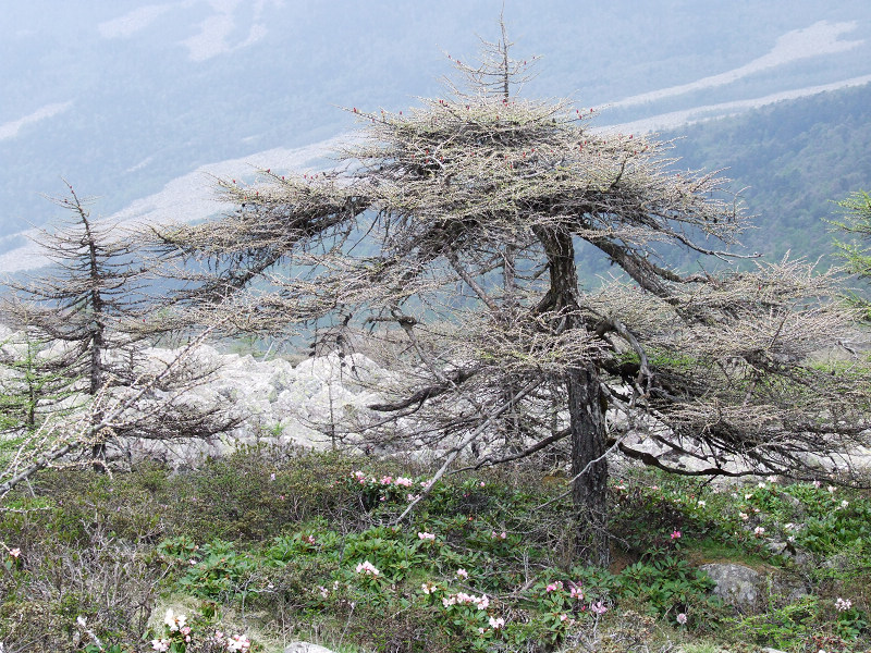 dscf7405.jpg