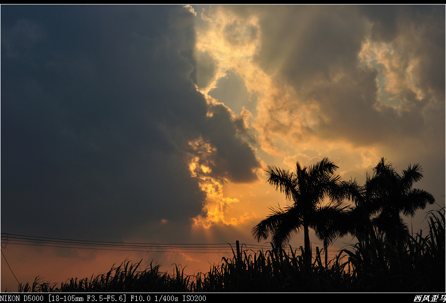 dsc_0468.jpg
