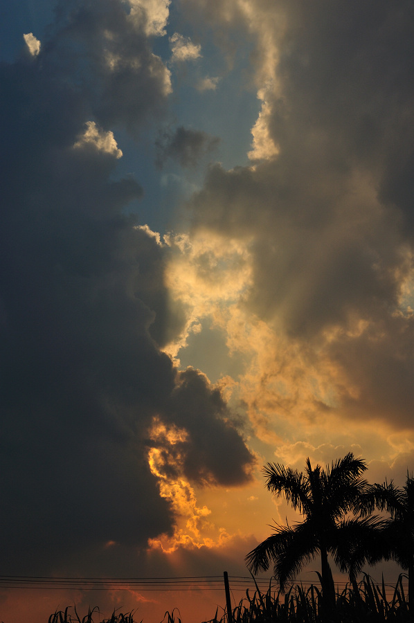 dsc_0470.jpg