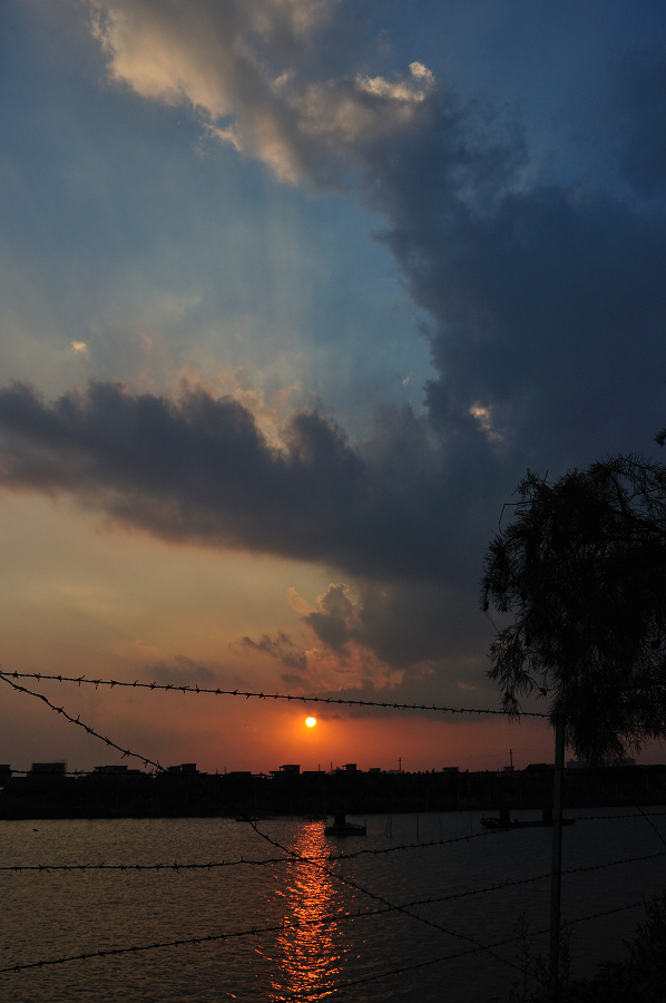 dsc_0493.jpg