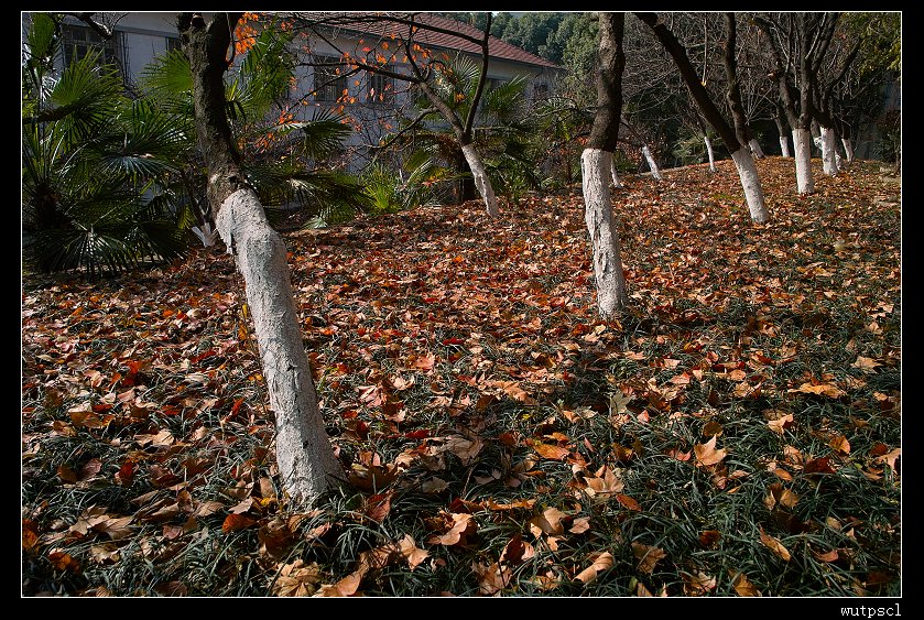 sdim1203.jpg