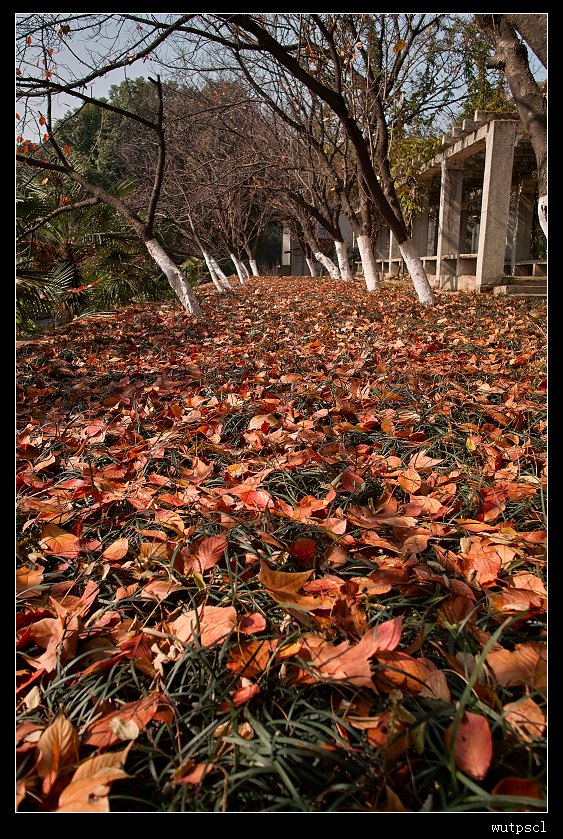 sdim1205.jpg