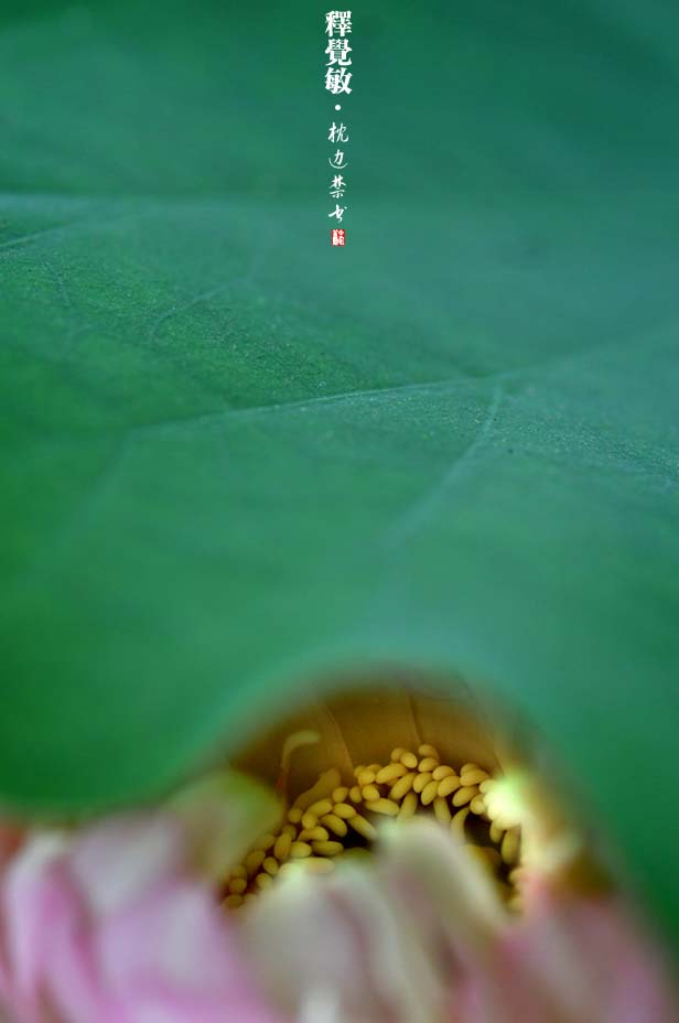 201071210345569412.jpg