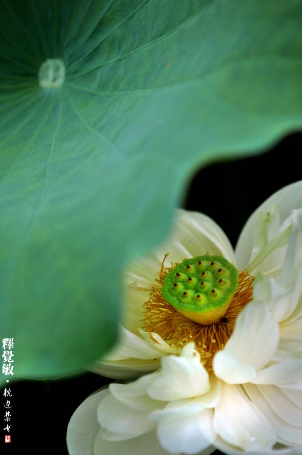 201071210355122903.jpg
