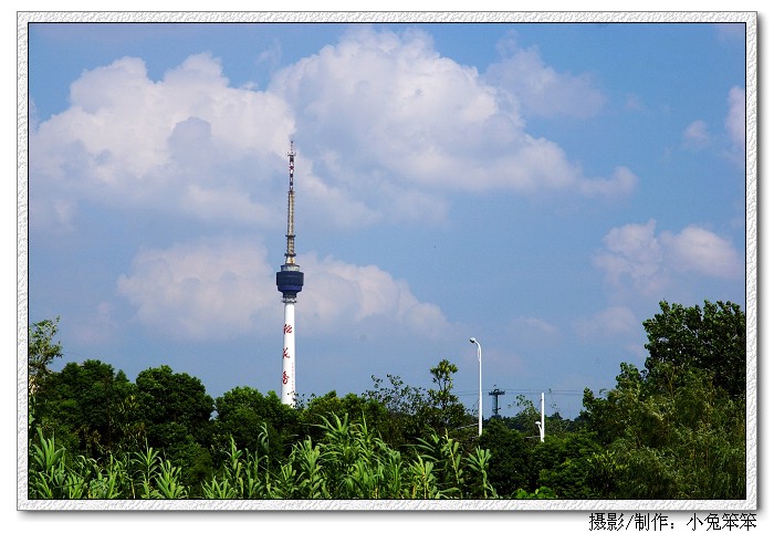 imgp6679.jpg