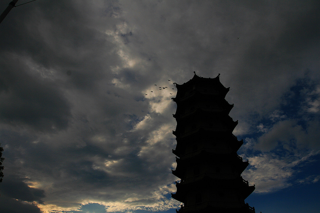 20100801_8963.jpg