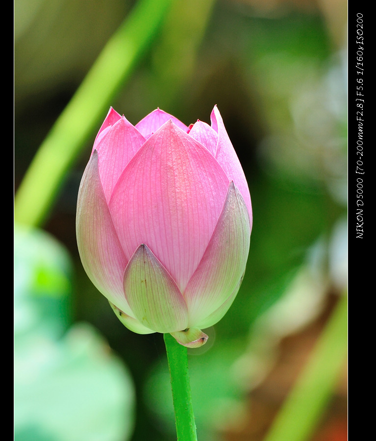 dsc_0287.jpg