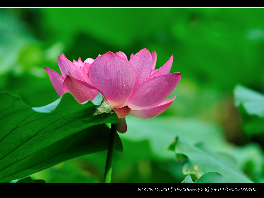 dsc_0361.jpg