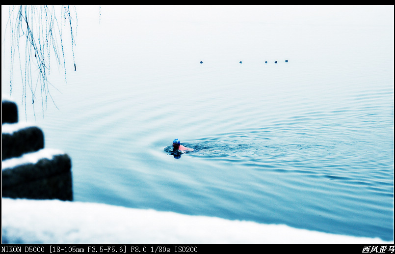 dsc_0633.jpg