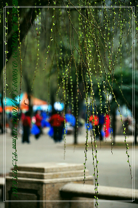 dsc_1721.jpg