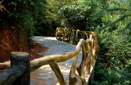 2010.9.11-﹵ (10).jpg