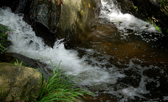 2010.9.11-﹵ (76).jpg