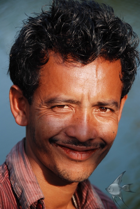 12291457.jpg
