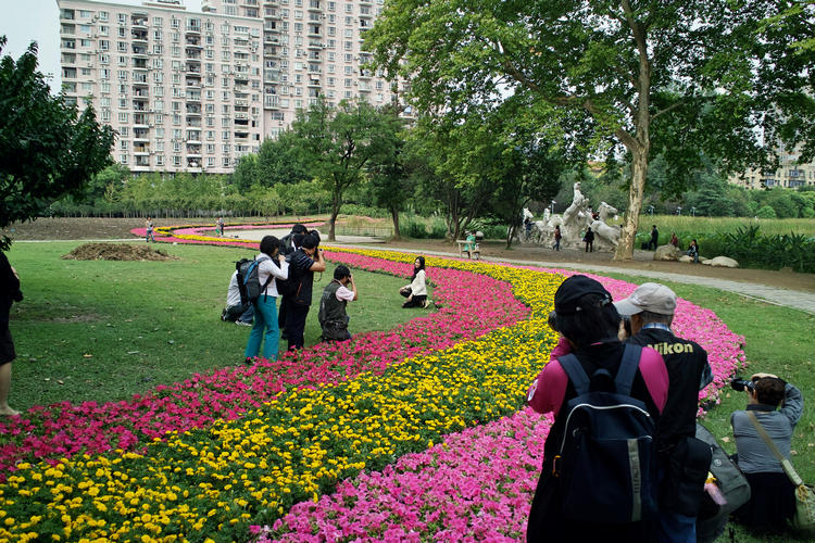 sdim0022.jpg