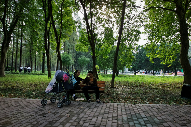 sdim0041.jpg