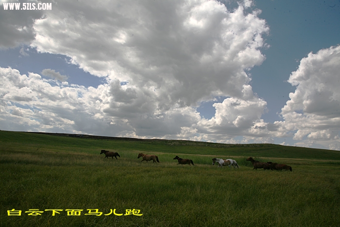 1007301248a9072939fccc75b1.jpg