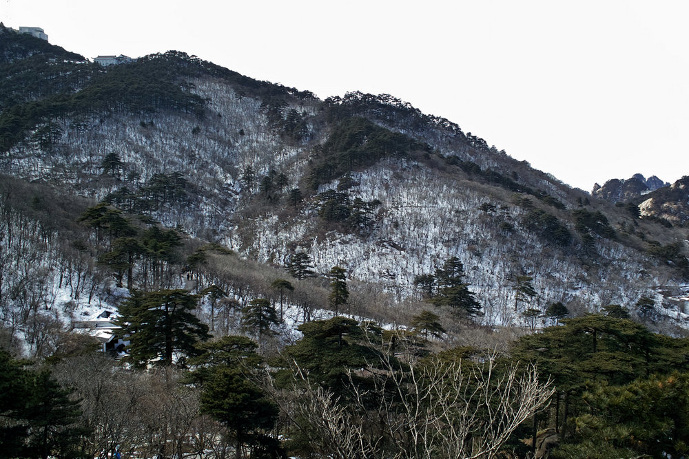 sdim0200.jpg