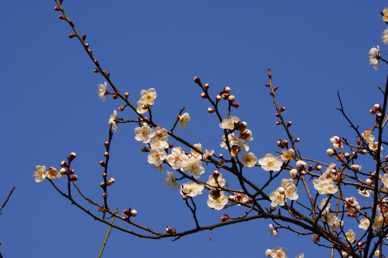 dsc00270.jpg