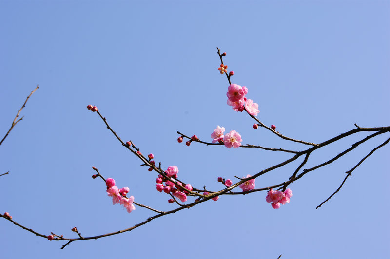 dsc00314.jpg
