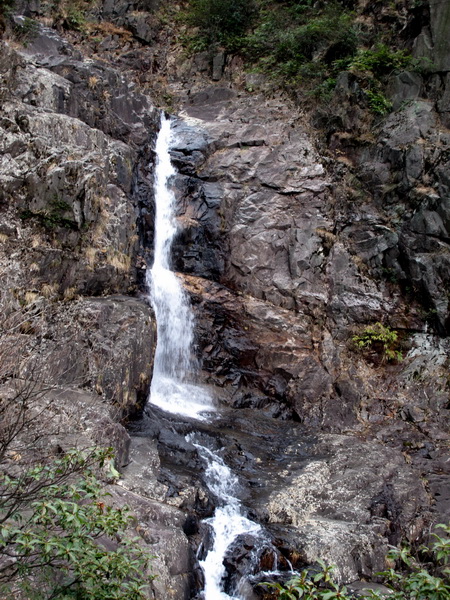 img_0110_С.jpg