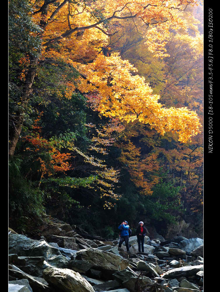 dsc_0829.jpg