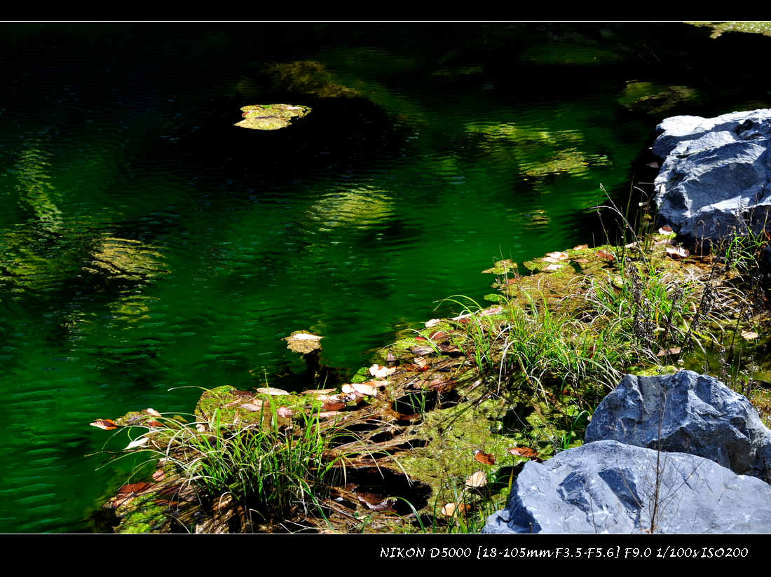 dsc_0732.jpg