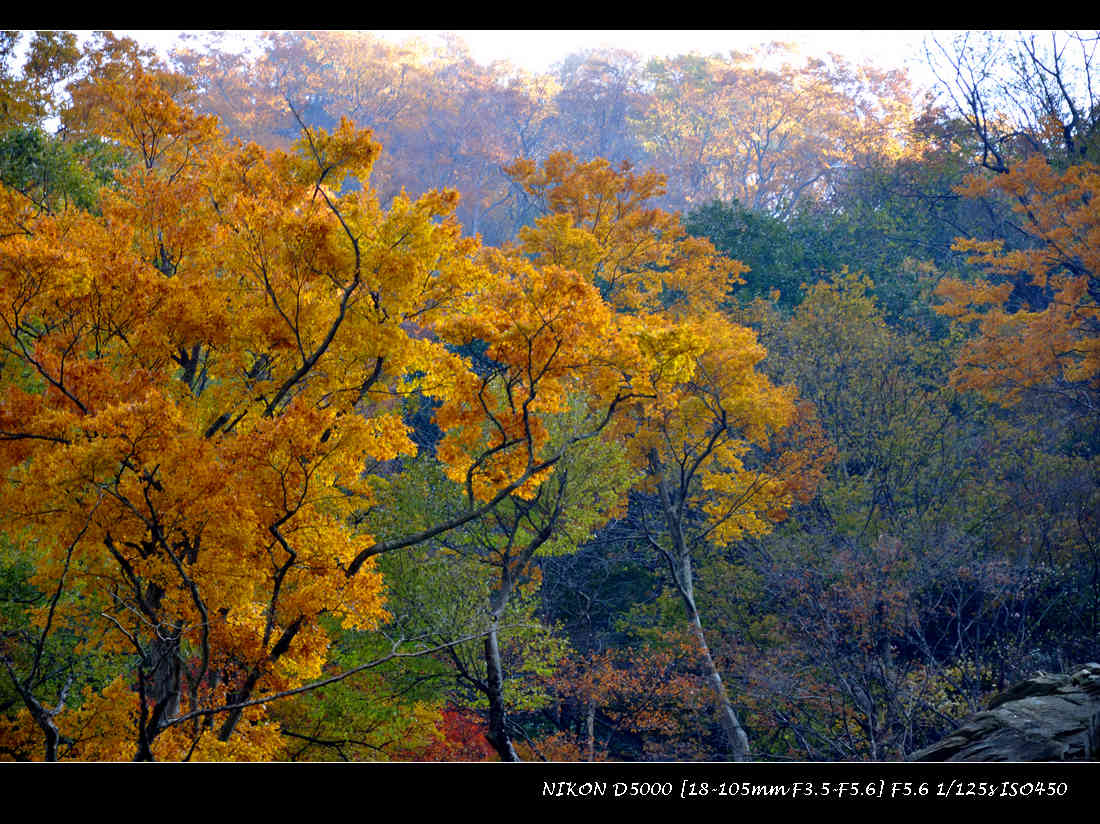 dsc_0741.jpg