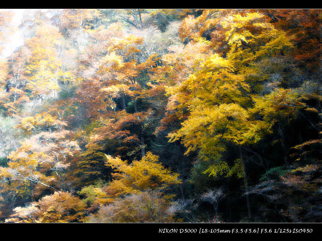 dsc_0744-2.jpg