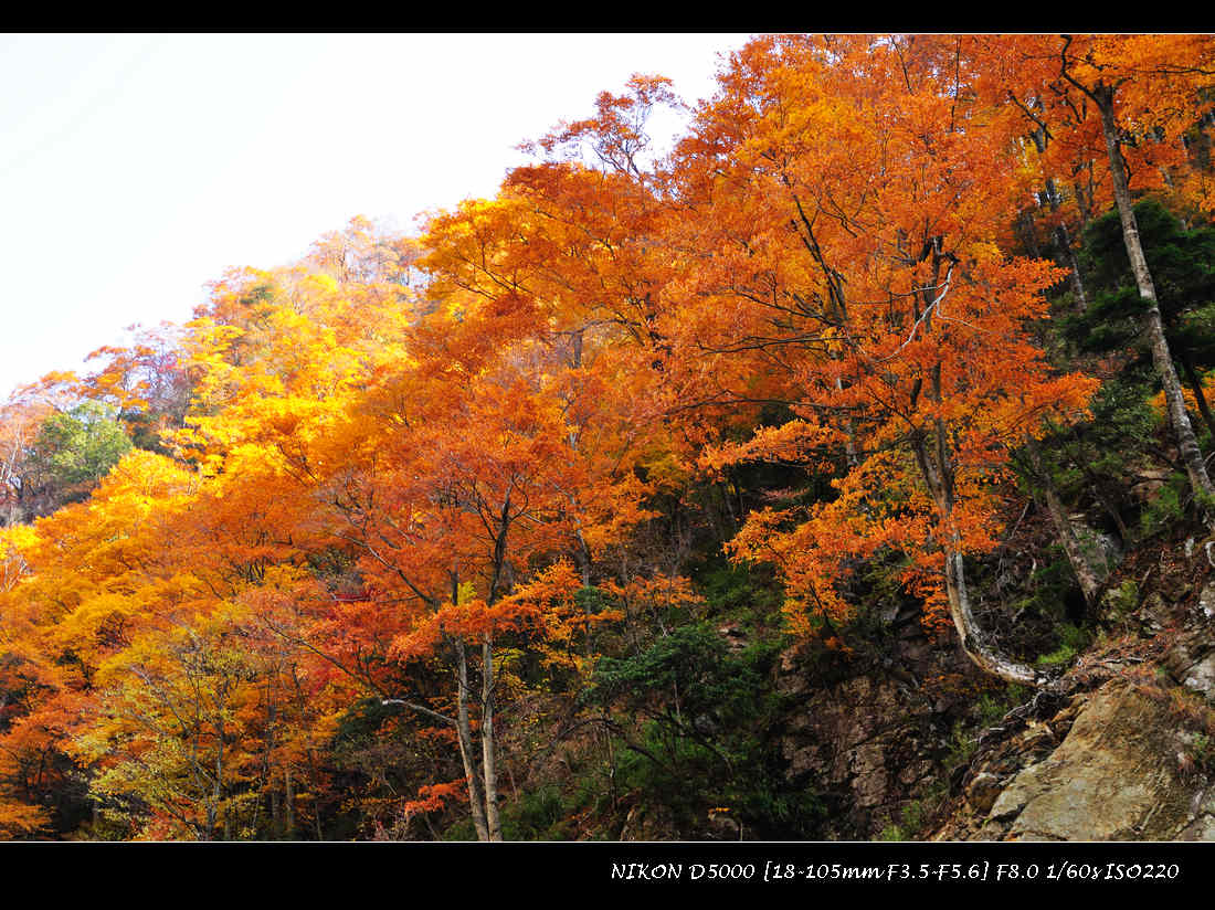 dsc_0771.jpg