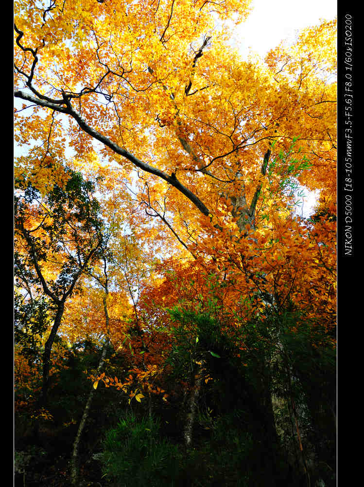 dsc_0815.jpg