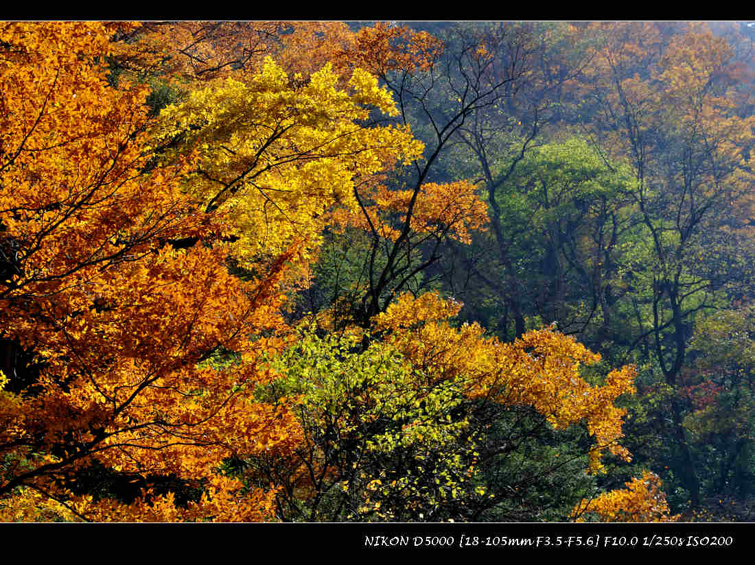 dsc_0890.jpg