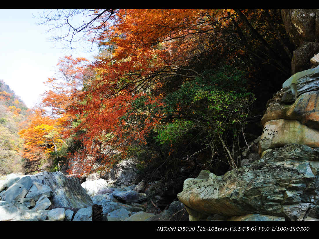 dsc_0827.jpg