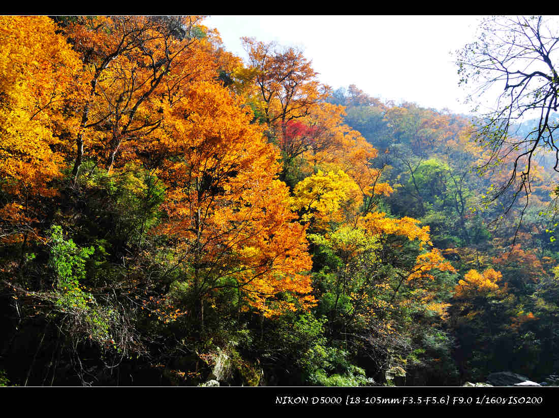 dsc_0887.jpg
