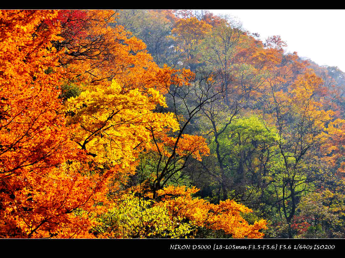 dsc_0891-3.jpg