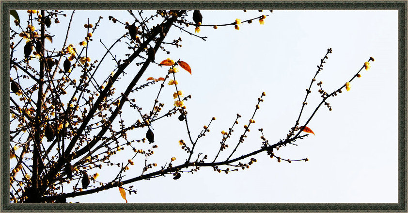 dsc00074.jpg