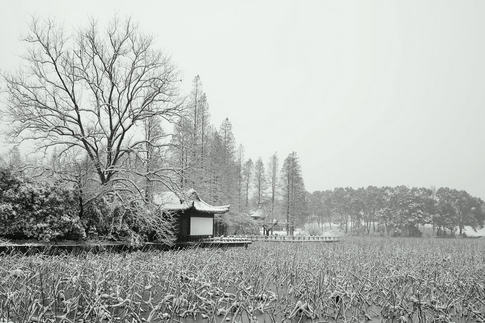 sdim0328.jpg