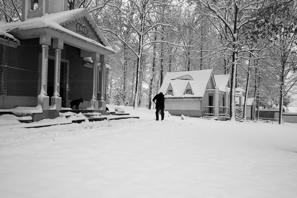 sdim0340.jpg
