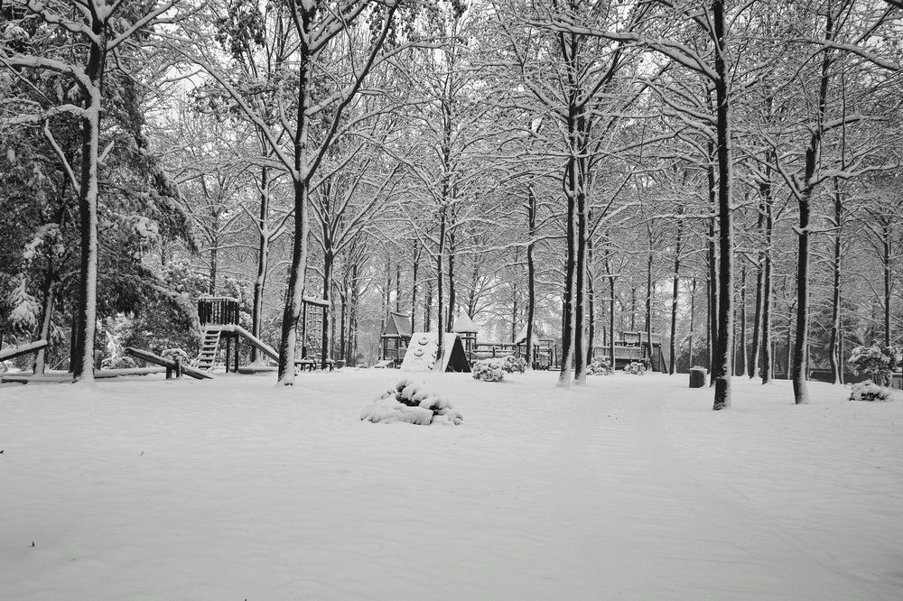 sdim0343.jpg