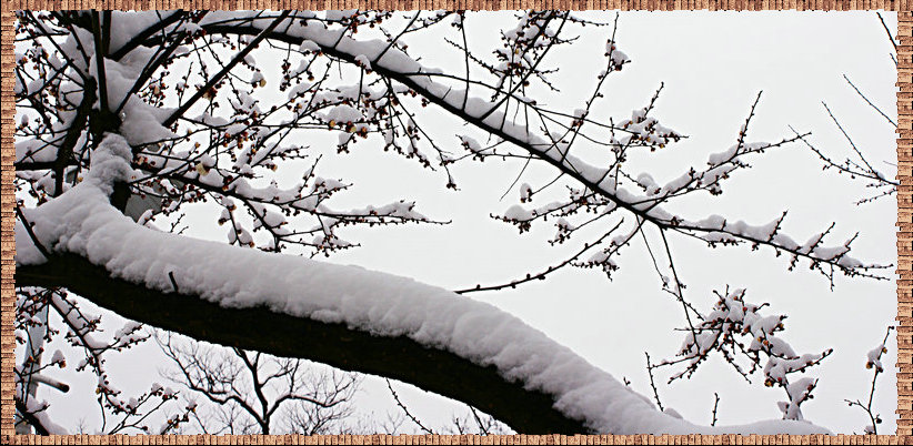 dsc01444_.jpg