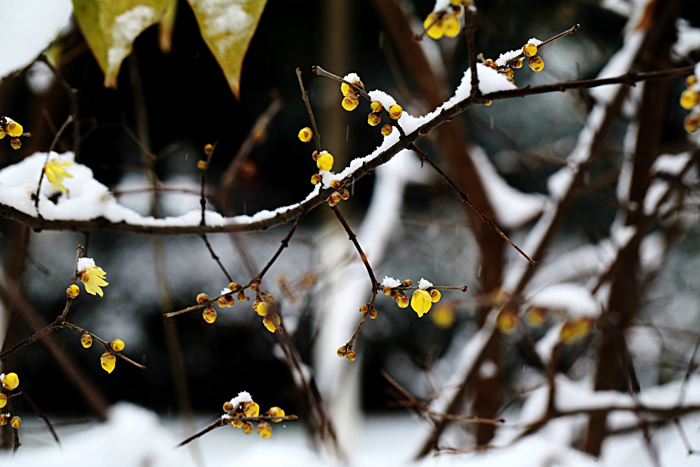 Ƭ 098.jpg