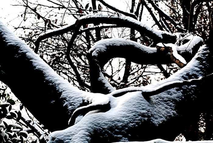 Ƭ 038.jpg