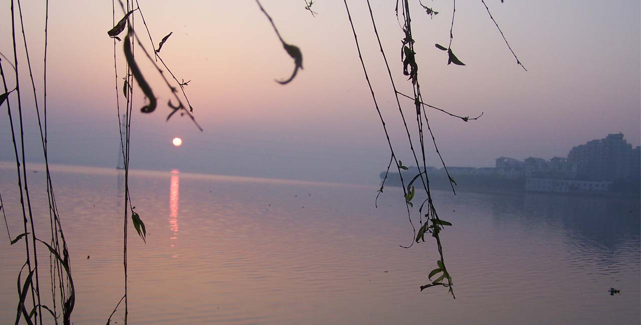 20080807222619203.jpg