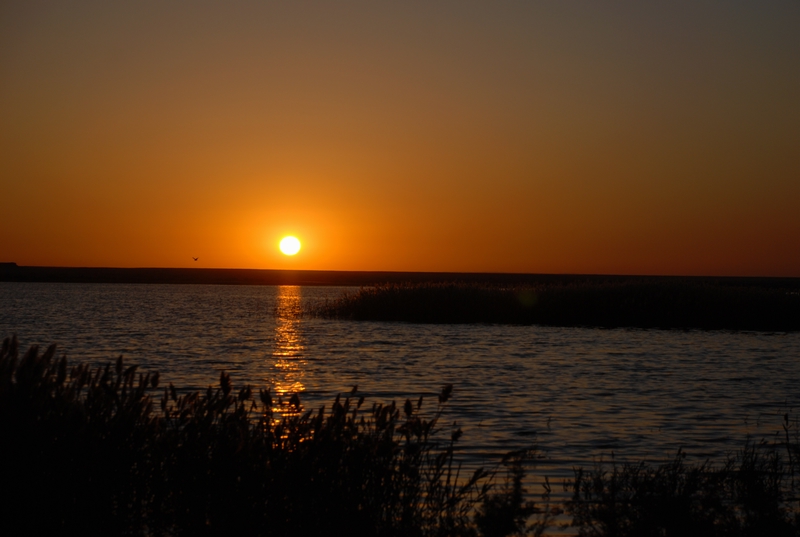 dsc_0967.jpg