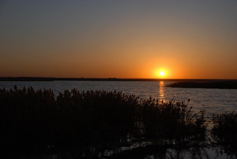dsc_0972.jpg