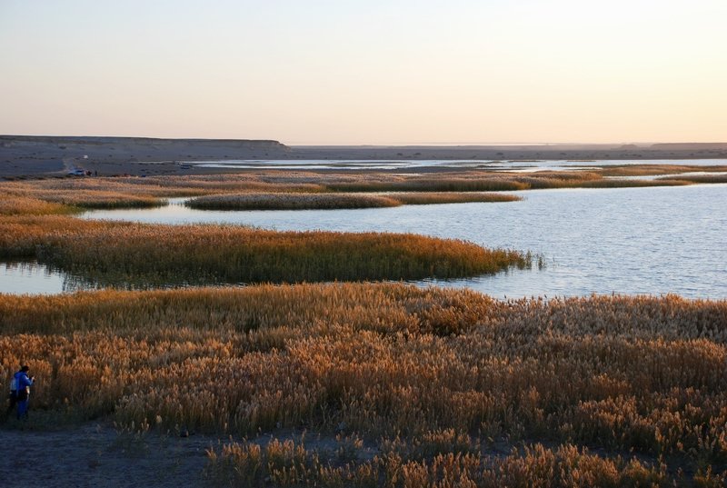 dsc_0998.jpg