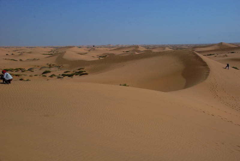 dsc_3047.jpg