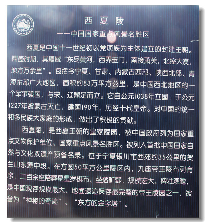  776.jpg